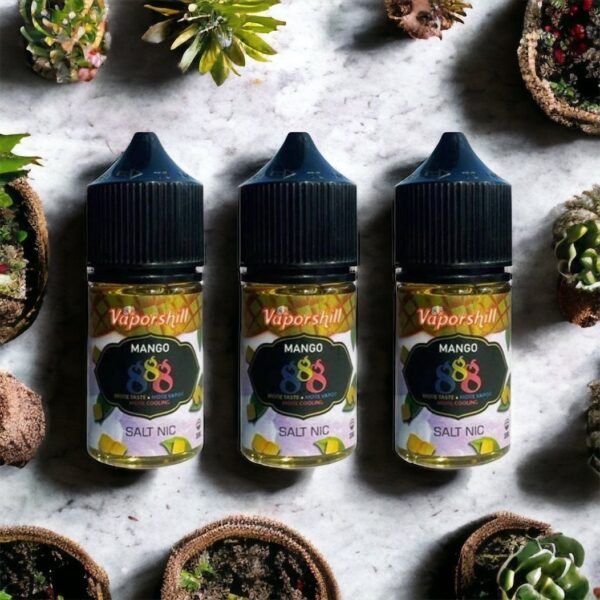 2 30ml小煙油 888系列煙油 馬來西亞原裝正品