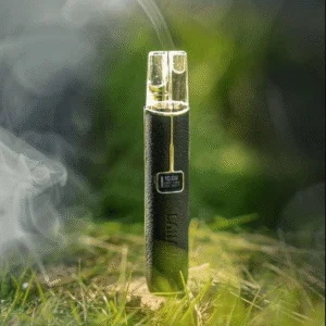 LANA LANA 皮革主機