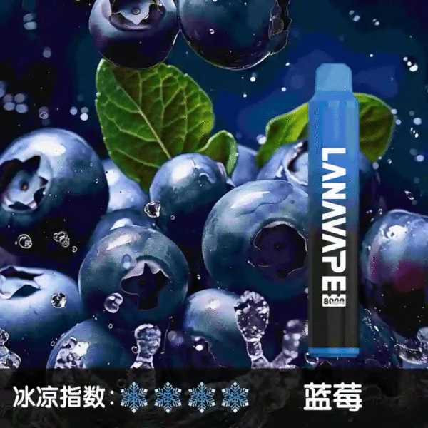 LANA 8000 PUFFS 拋棄式一次性電子煙 台灣電子煙推薦