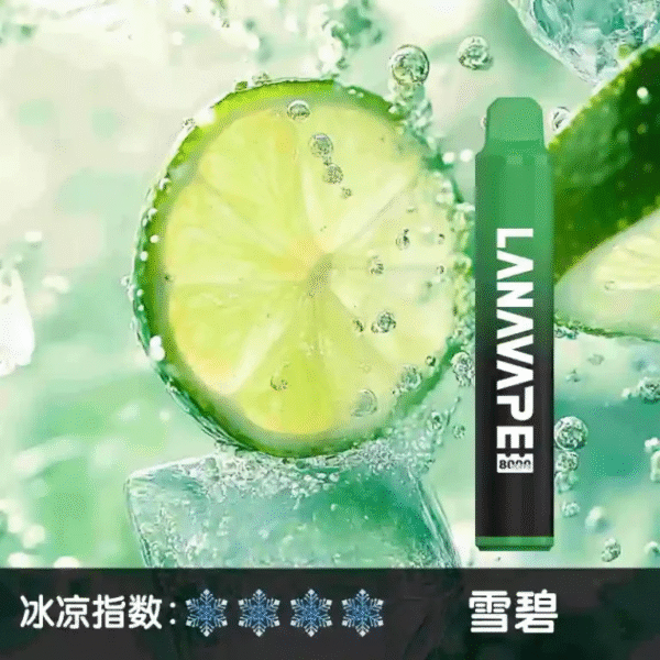 LANA 8000 PUFFS 拋棄式一次性電子煙 台灣電子煙推薦