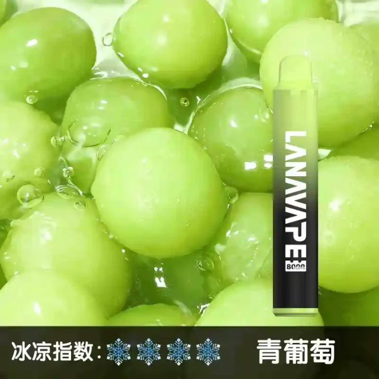 LANA 8000 PUFFS 拋棄式一次性電子煙 