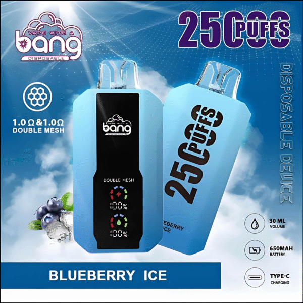 藍莓冰 Bang 25000 Puffs拋棄式電子煙 超大屏幕 超大容量 可充電