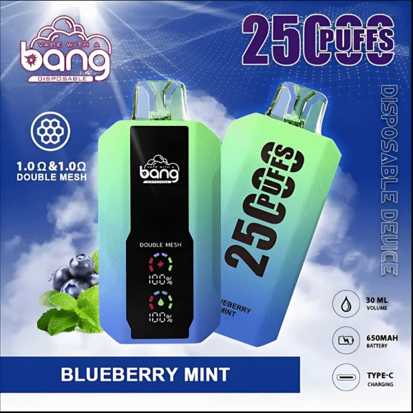 藍莓薄荷 Bang 25000 Puffs拋棄式電子煙 超大屏幕 超大容量 可充電