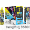 BANG KING 35000 PUFFS 檸檬薄荷 BANG KING 35000 PUFFS 龍捲風 一次性抛棄式霧化筆狀電子煙 超大容量 充電帶顯示屏